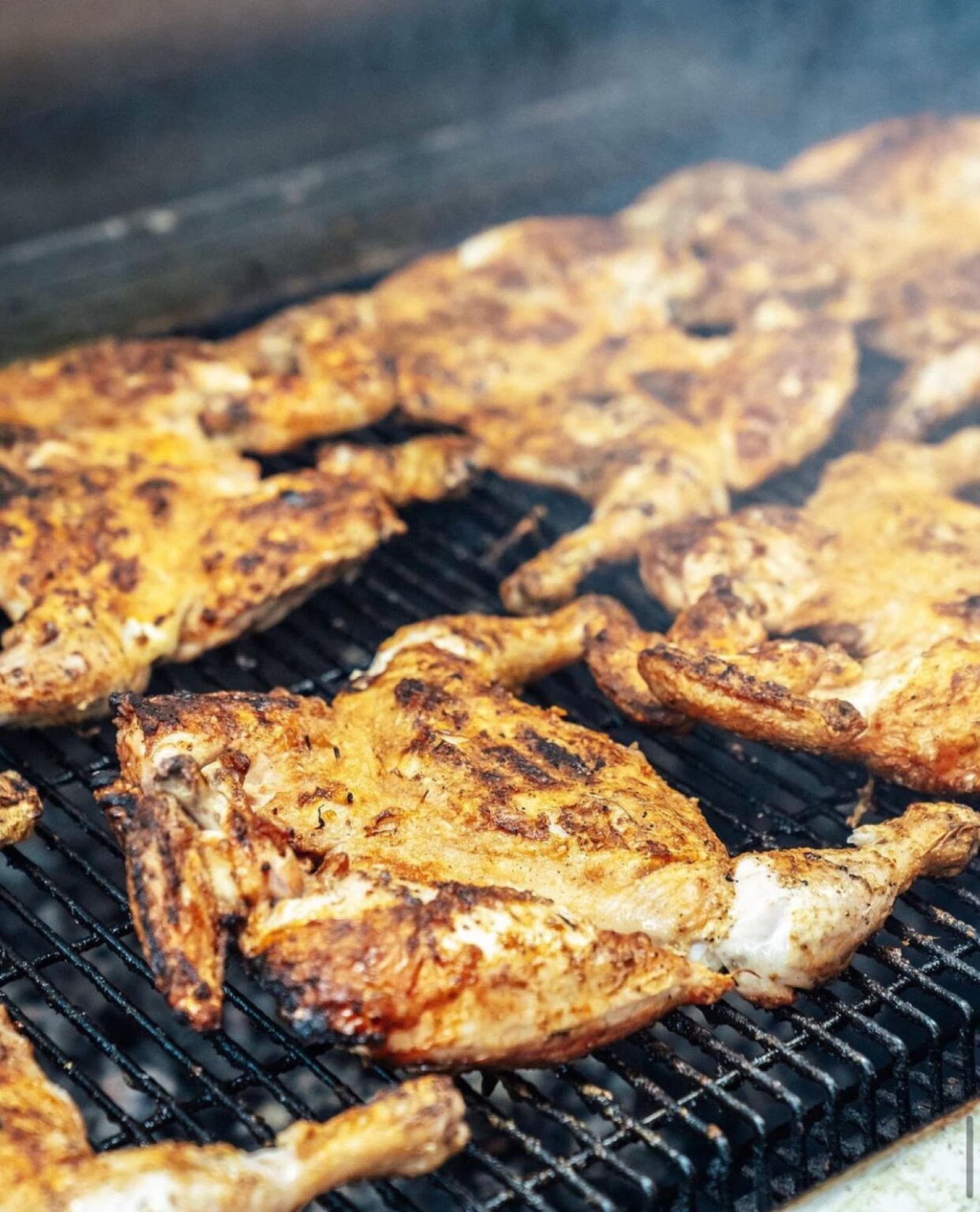 Piri piri chickens cooking over the open charcoal grill at Diego's